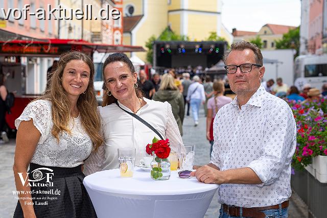 Fotto Laudi_donaujazz-26.jpg